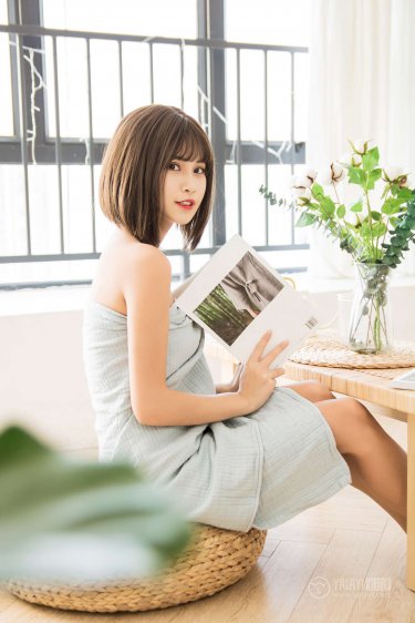驭鲛记